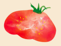 Tomates Cœur de Bœuf