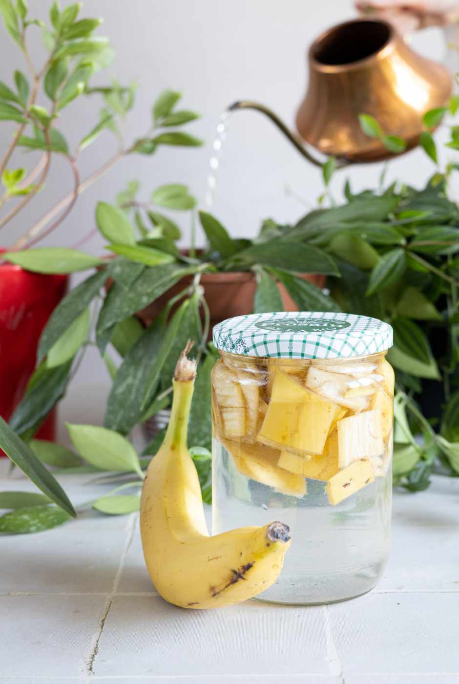 Fabriquez votre engrais naturel avec des peaux de bananes